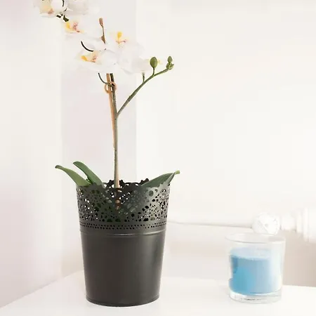 住宿加早餐酒店 Variete Station 2*