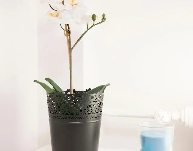 Bed and Breakfast Variete Station 2*